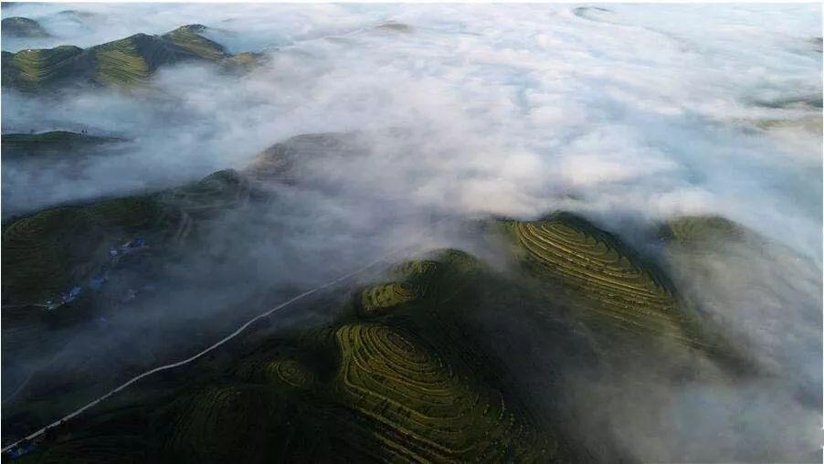 悟空降妖