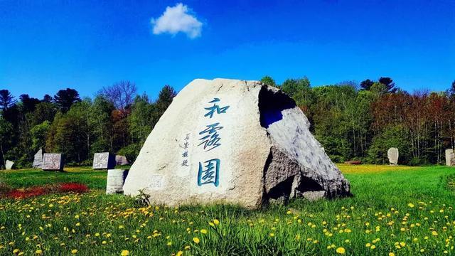 cows frogs goat不同类的是？游戏画面