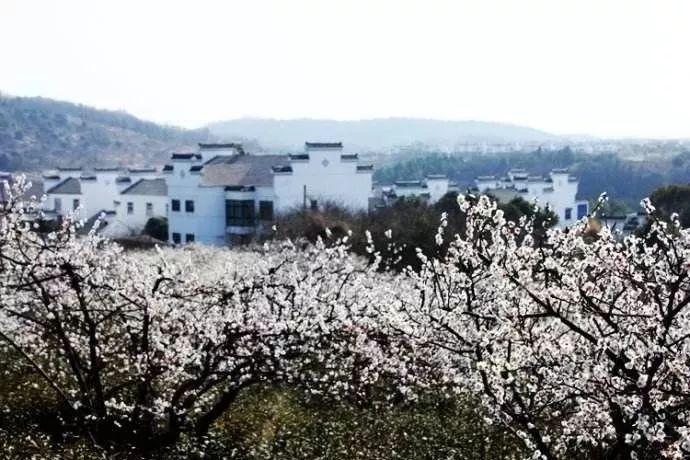 秘密实验室逃生