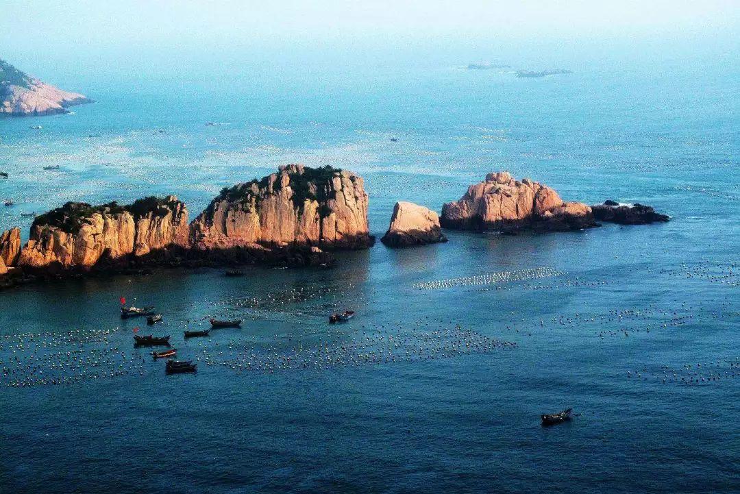 多特vs波鸿首发：桑乔主场首秀，菲尔克鲁格出战
