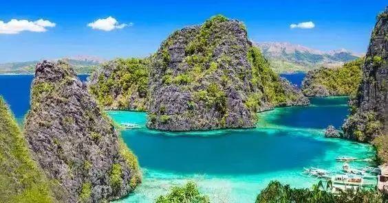 牛油果面包