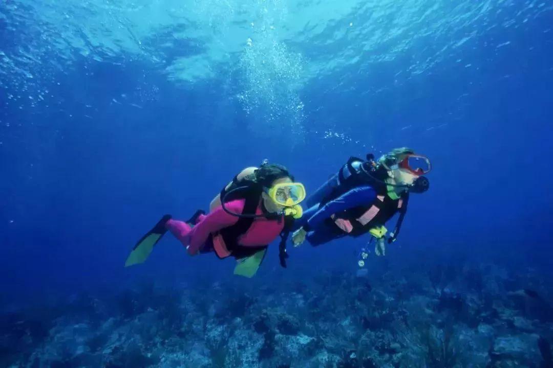 数码宝贝8