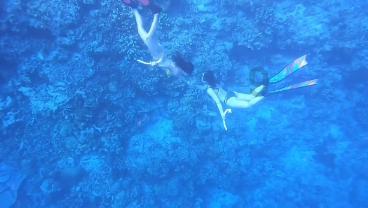 地铁：最后的曙光