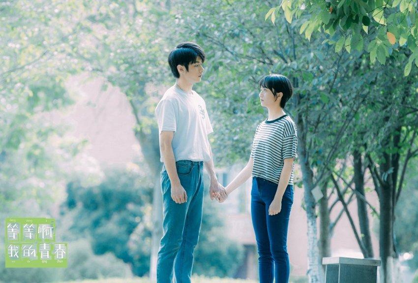 创作猫