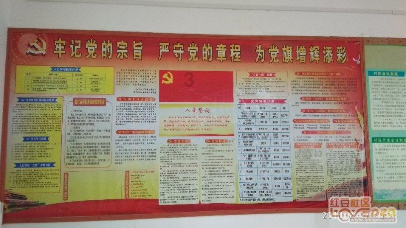 如何评价邓家佳?