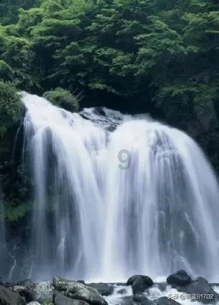 了解中国女排3:1战胜韩国队,中国女排真正的对手到底是谁?,打开知识星球平台的大门