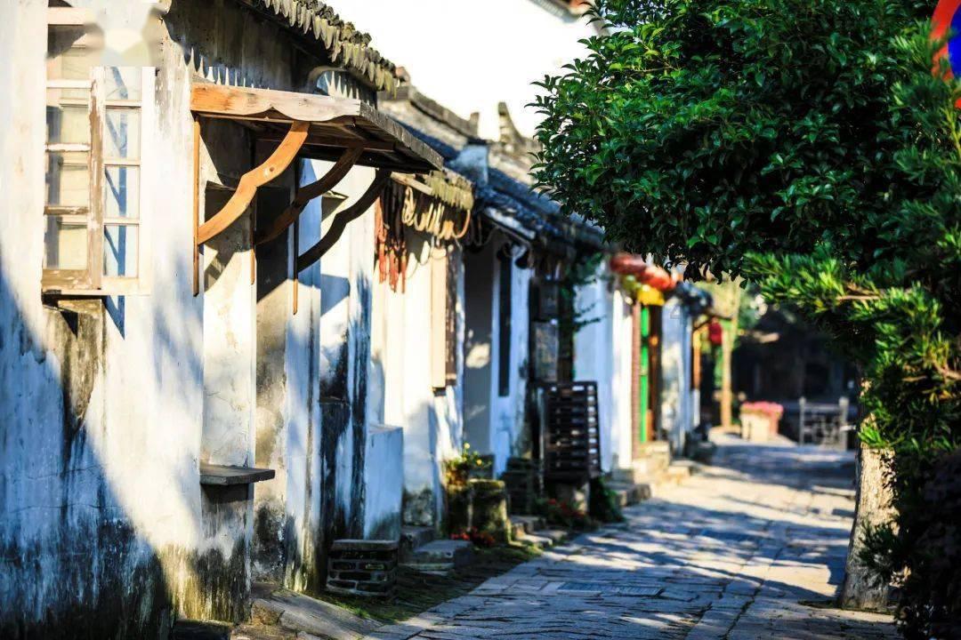当猫把心爱的鸟吃了该怎么办？游戏画面