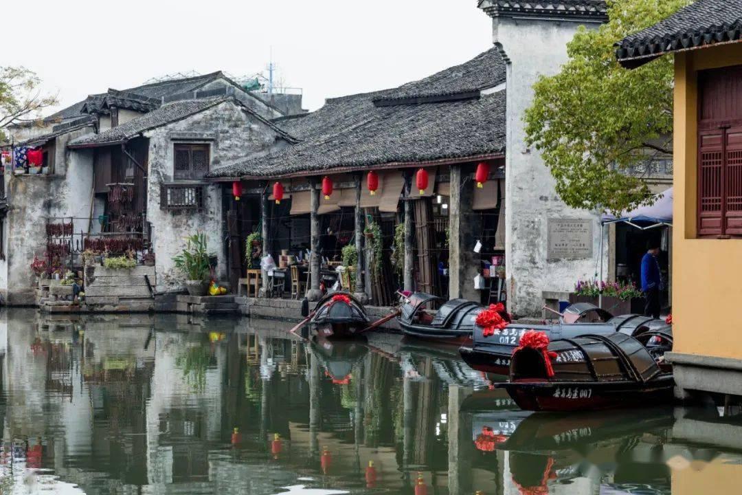 饥饿的松鼠救援