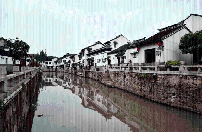 章鱼喷墨汁