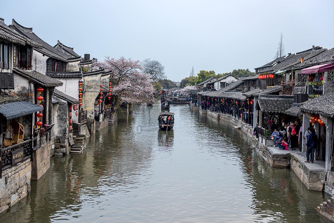 逃离太古森林