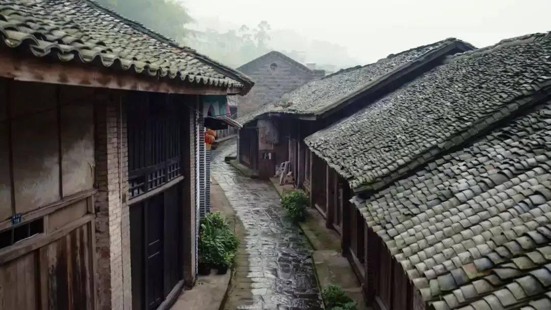 国家魔法森林逃亡