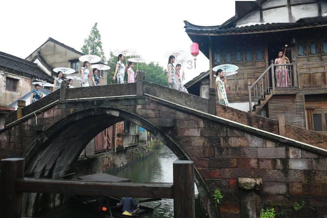 动物帮帮忙保卫家园